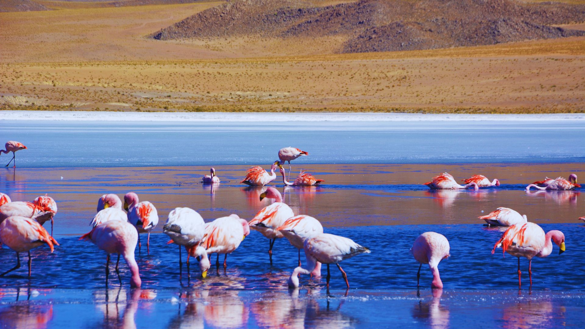 3 Days Uyuni